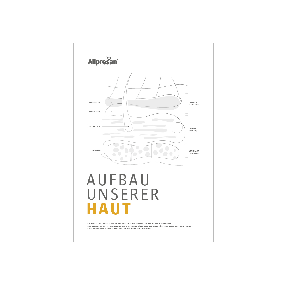 Poster "Aufbau unserer Haut"