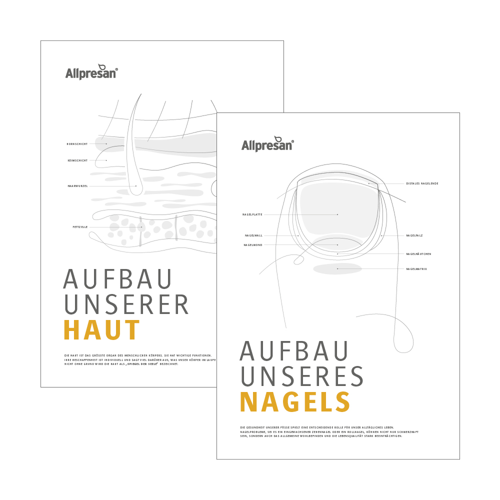 Poster "Aufbau unseres Nagels"